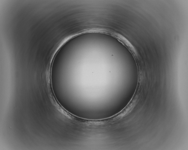 X0000113260860200909101457