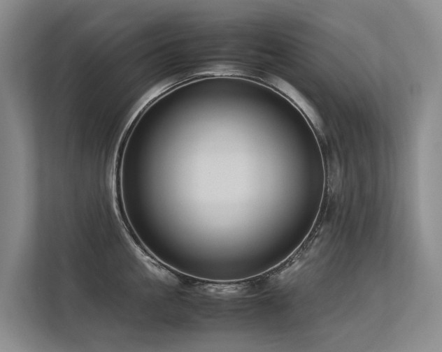 X0000113260861200909101457