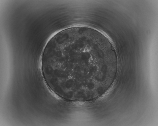 X0000113260862200909101457