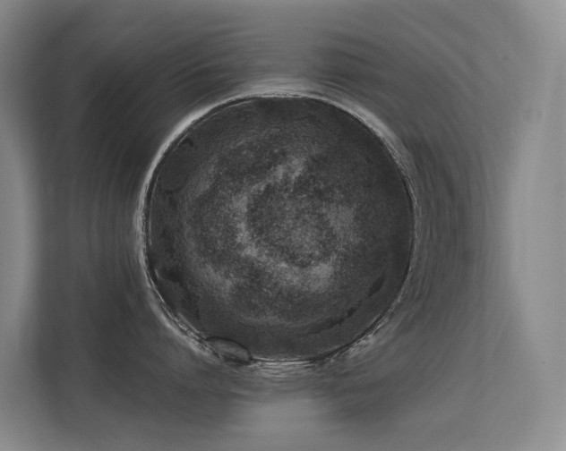 X0000113260864200909101457