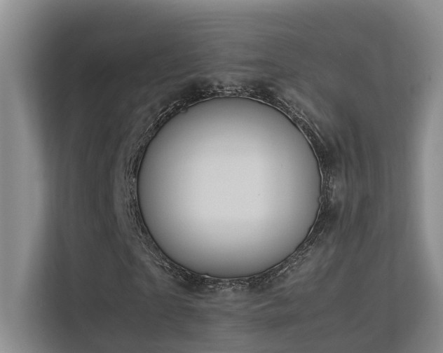 X0000113260865200909101457