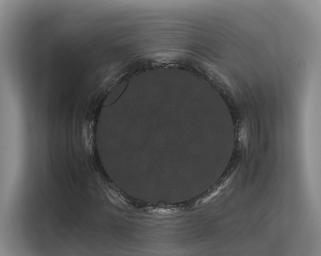 X0000113260868200909101457