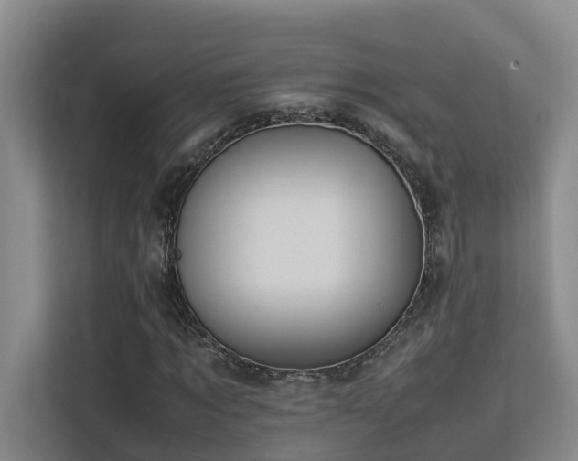 X0000113260869200909101457