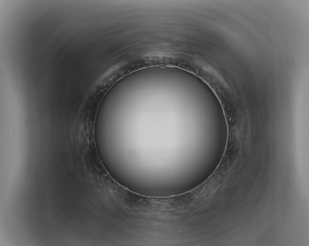 X0000113260870200909101457