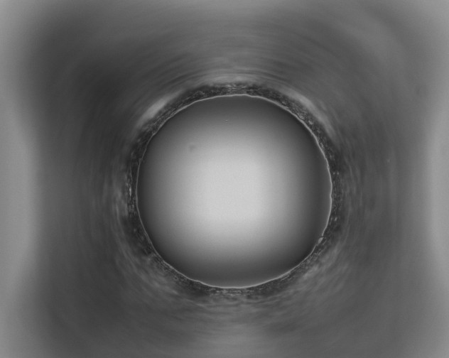 X0000113260871200909101457