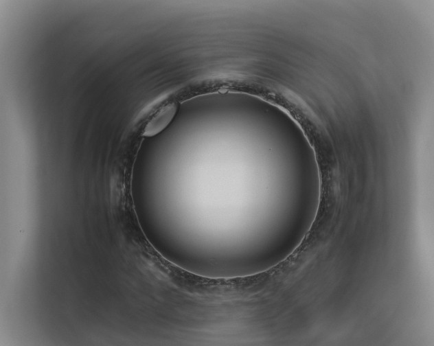 X0000113260872200909101457