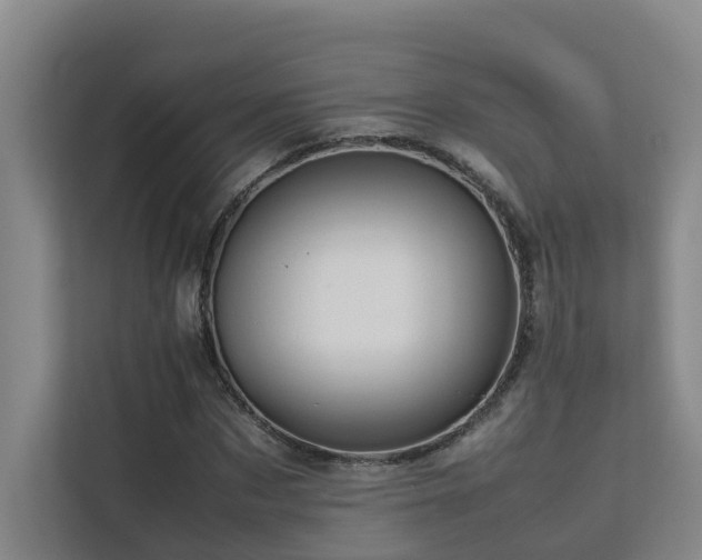 X0000113260873200909101457