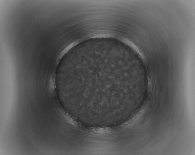 X0000113260874200909101457