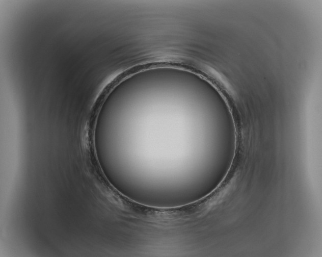 X0000113260875200909101457