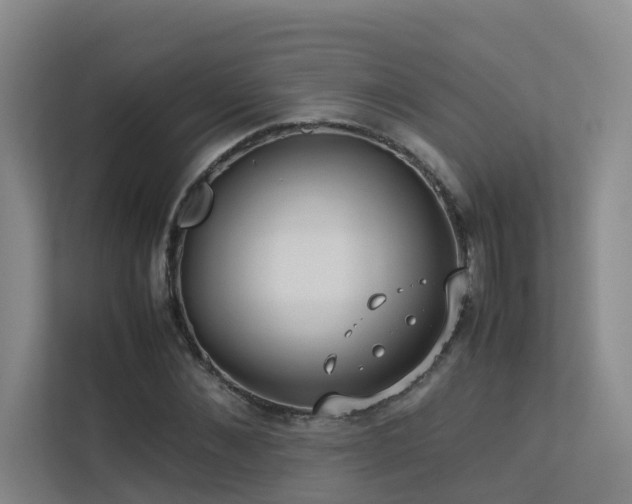 X0000113260876200909101457