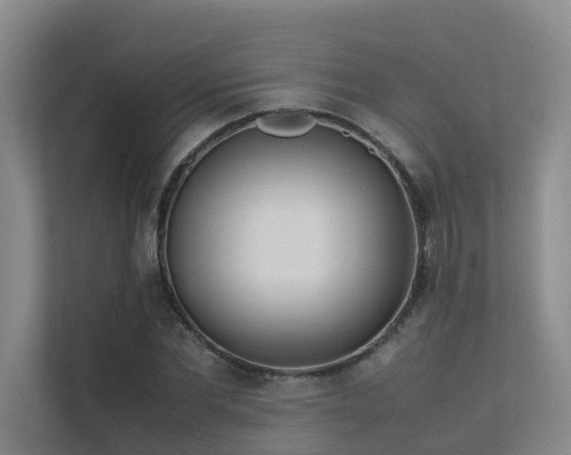 X0000113260877200909101457