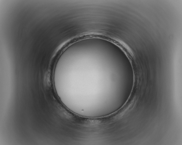 X0000113260878200909101457