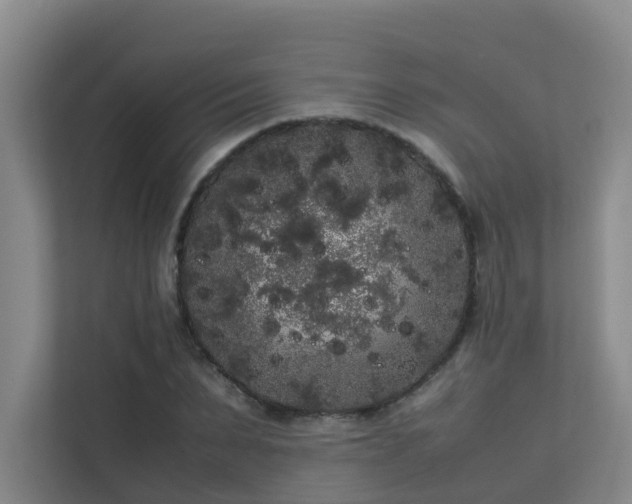 X0000113260879200909101457