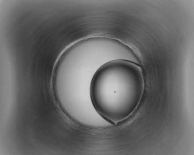 X0000113260880200909101457