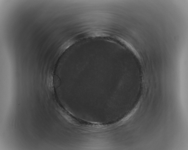 X0000113260881200909101457