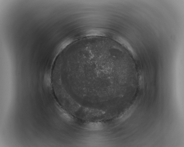 X0000113260882200909101457