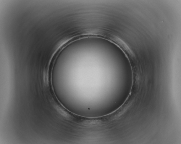 X0000113260884200909101456