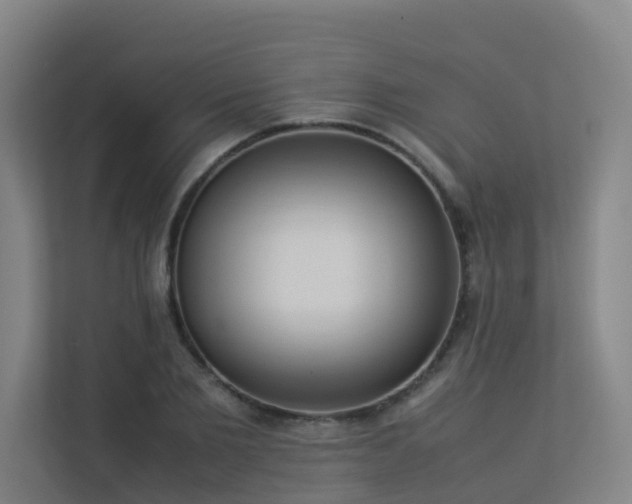 X0000113260885200909101456