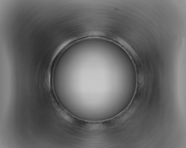 X0000113260886200909101456