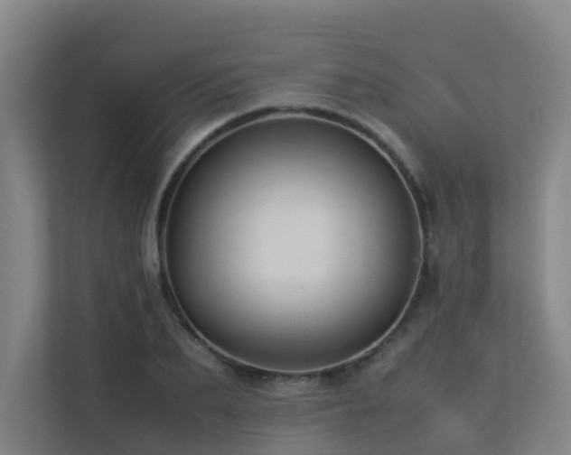 X0000113260887200909101456