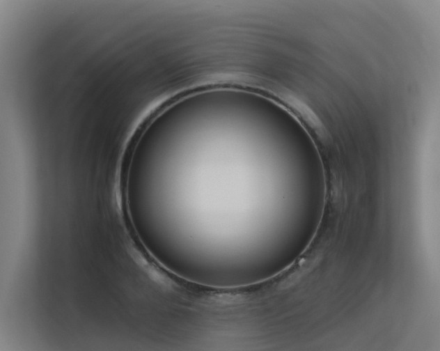 X0000113260888200909101456