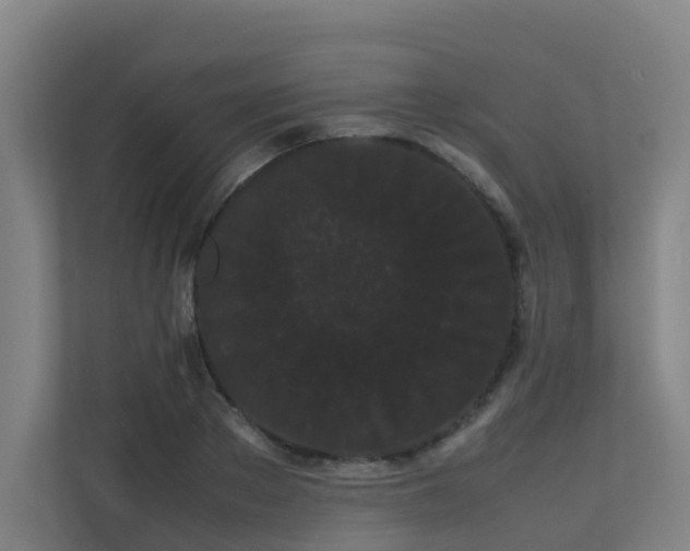 X0000113260889200909101456