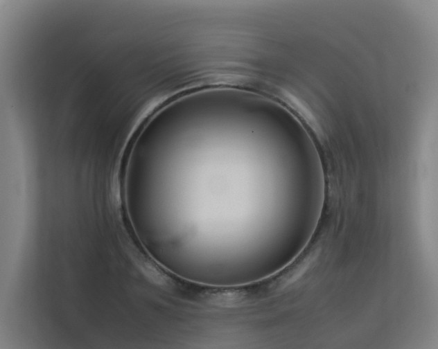 X0000113260891200909101456