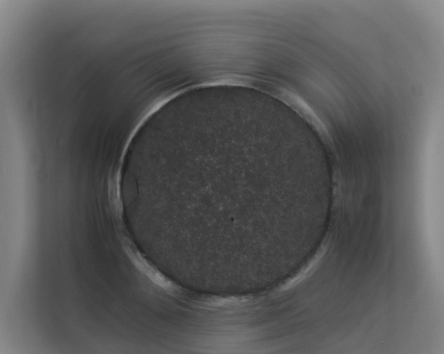 X0000113260892200909101456