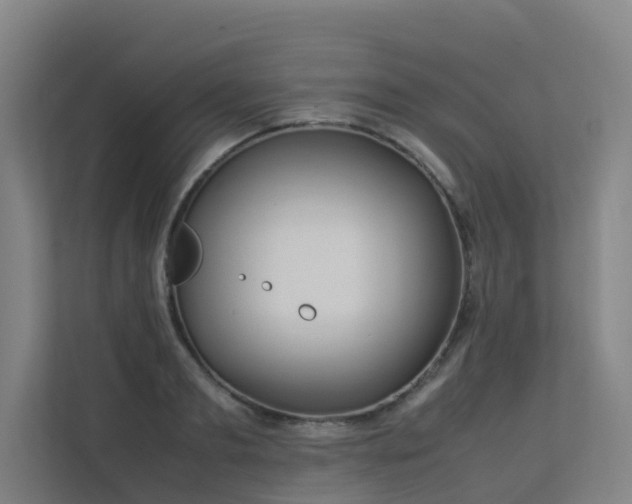 X0000113260893200909101456