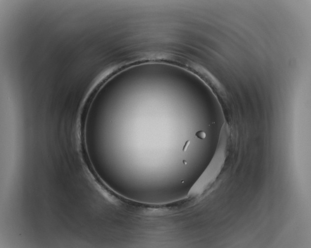 X0000113260894200909101456