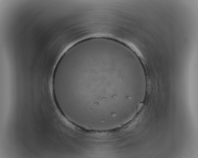 X0000113260895200909101456