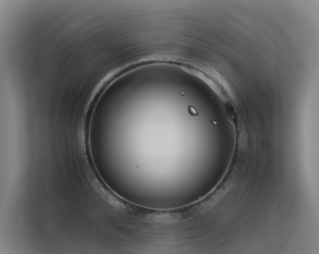 X0000113260896200909101456