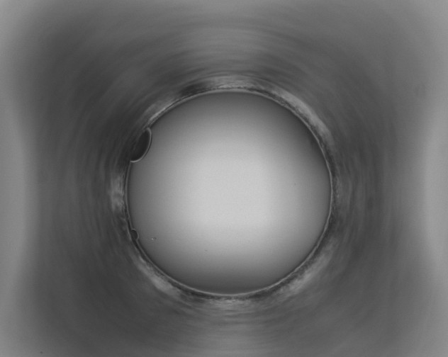 X0000113260897200909101456