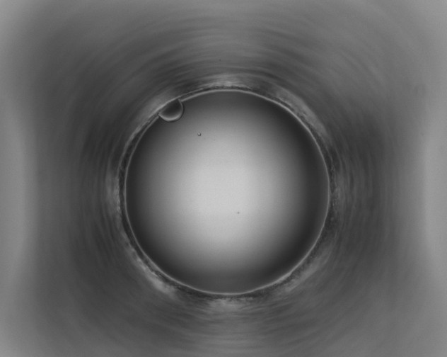 X0000113260898200909101456