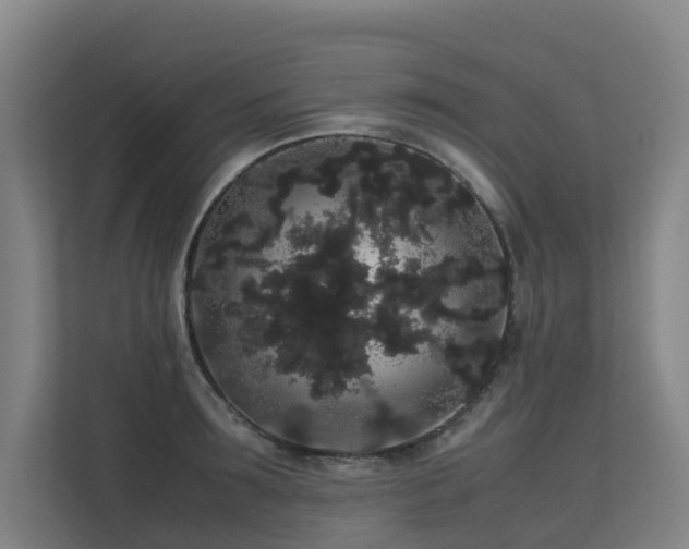 X0000113260899200909101456