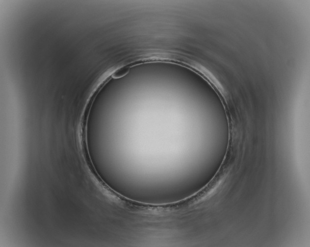 X0000113260901200909101456