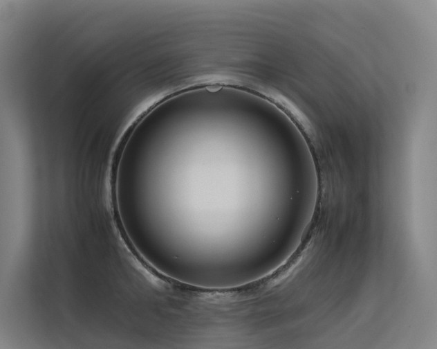 X0000113260902200909101456