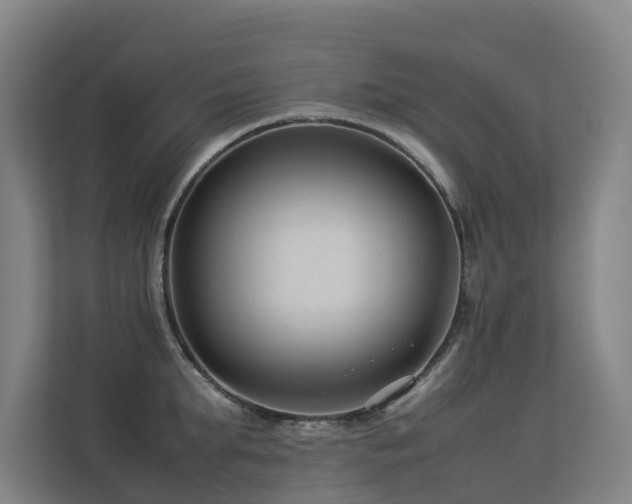 X0000113260903200909101456