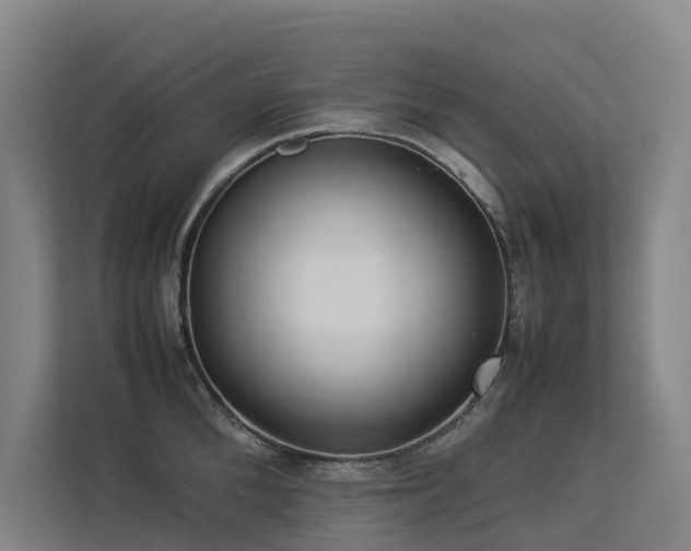 X0000113260904200909101456