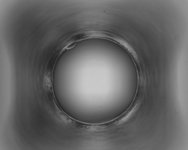 X0000113260905200909101456