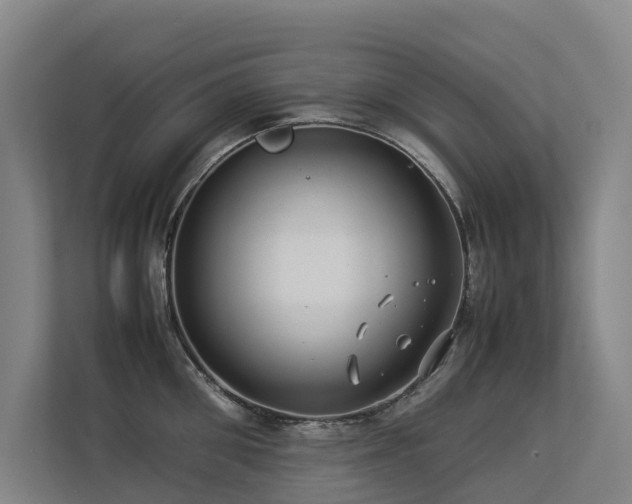 X0000113260906200909101456