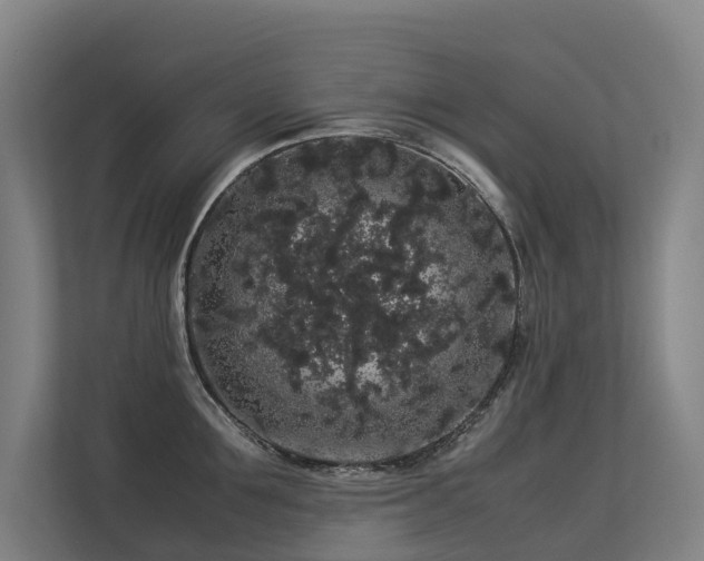 X0000113260907200909101456