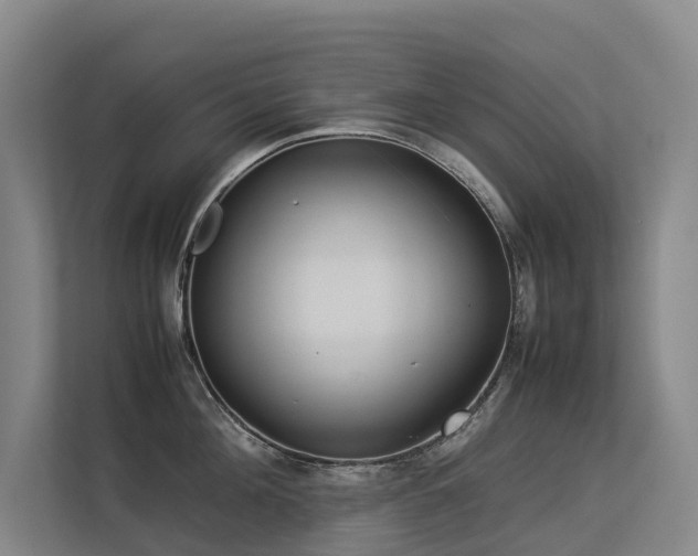 X0000113260908200909101456