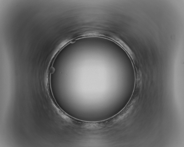 X0000113260909200909101456