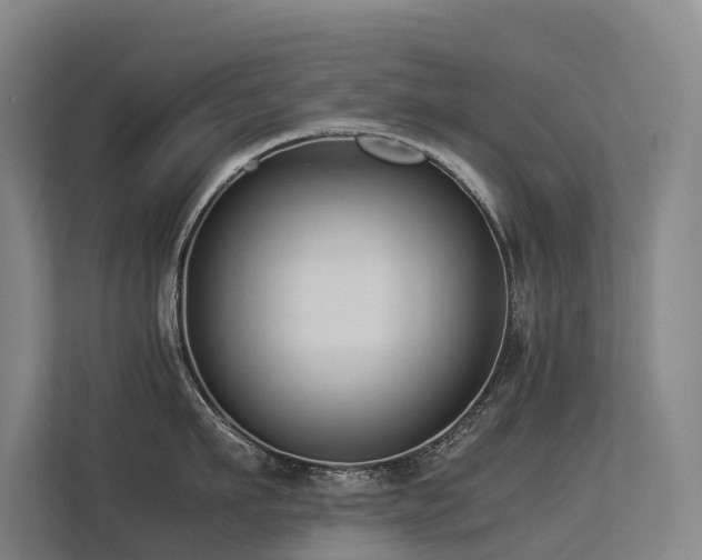 X0000113260911200909101456