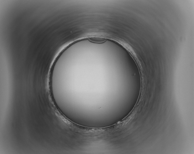 X0000113260912200909101456