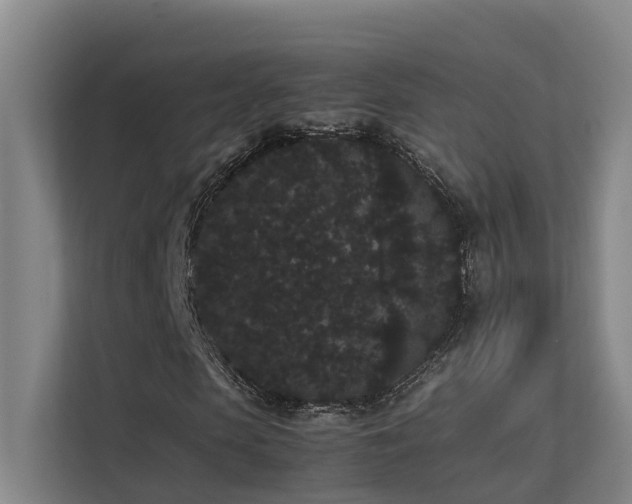 X0000113260913200909101455