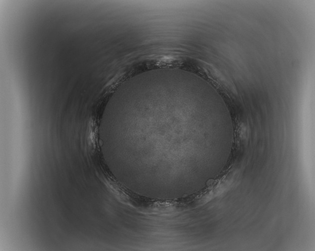 X0000113260914200909101456