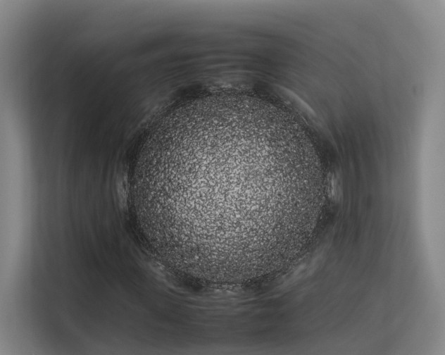 X0000113260915200909101456