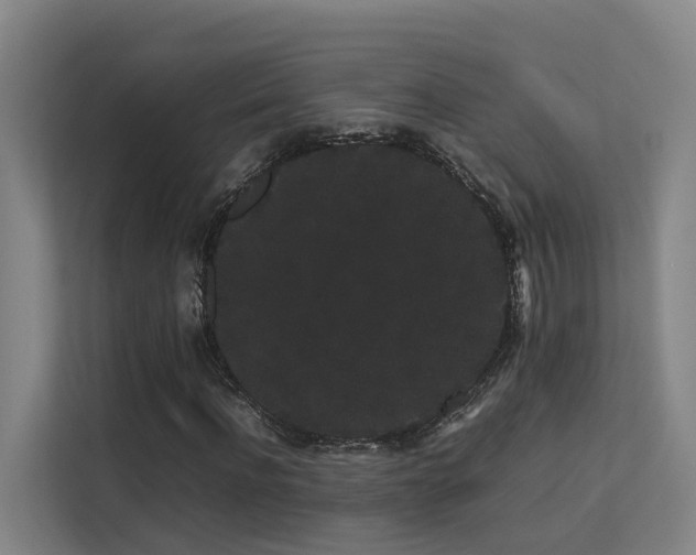 X0000113260916200909101456